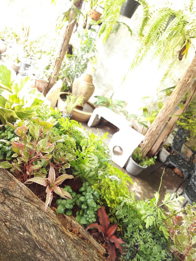 Muang Khon Guest House Nakhon Si Thammarat Exterior photo